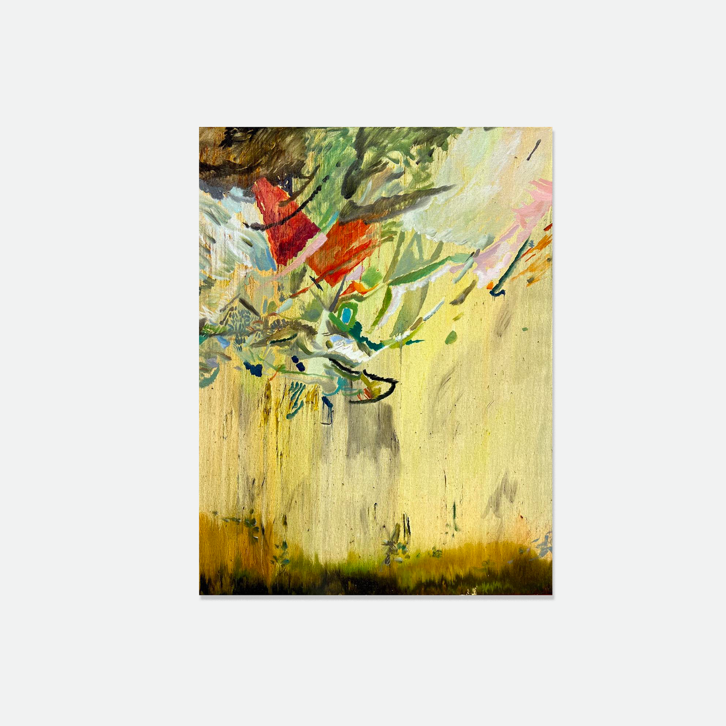 Vira Tolmacheva, Appearance