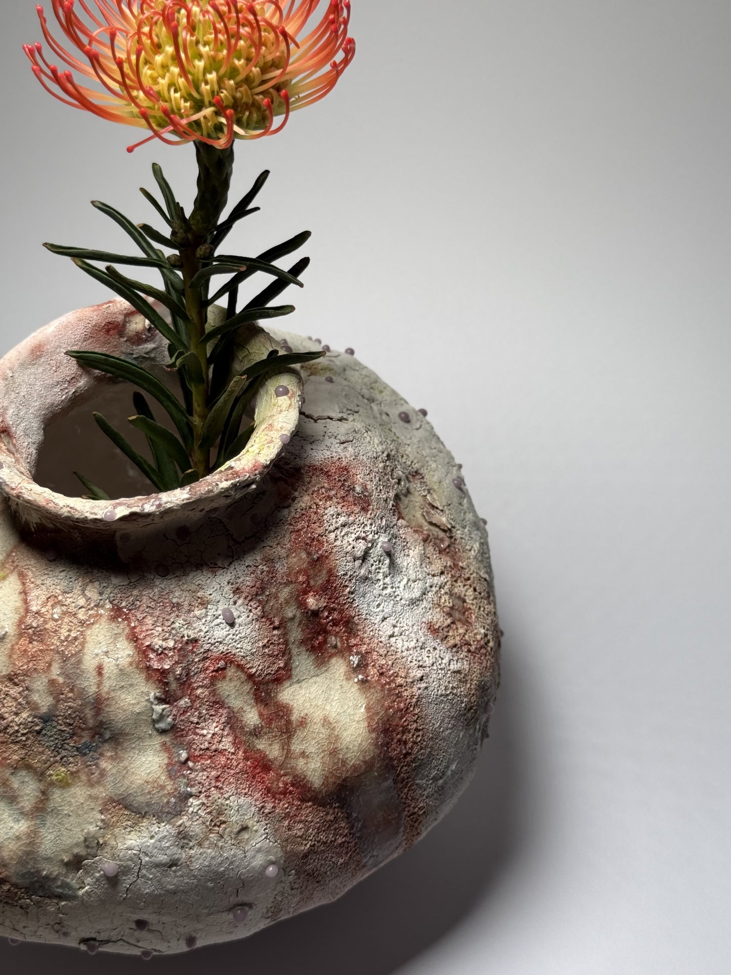 Closr-up of decorative ceramic vase with textured surface and small plant on a gray background