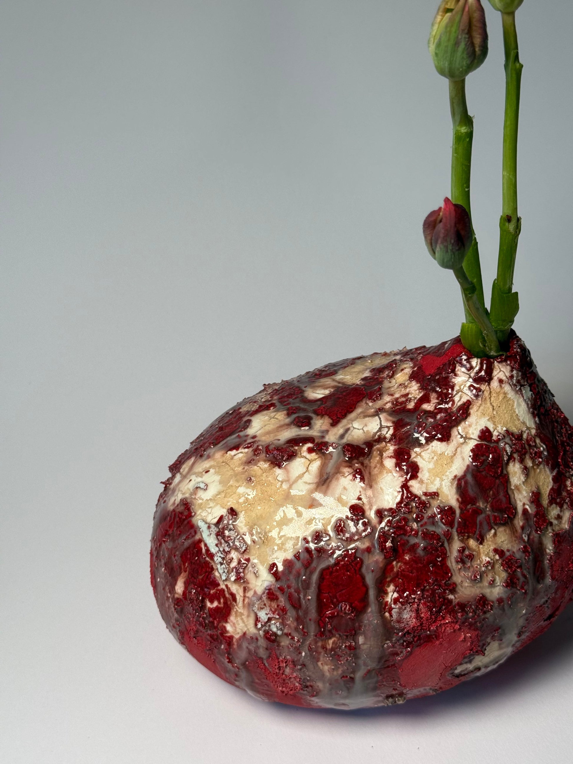Close-up of a red vase with green stems on a gray background