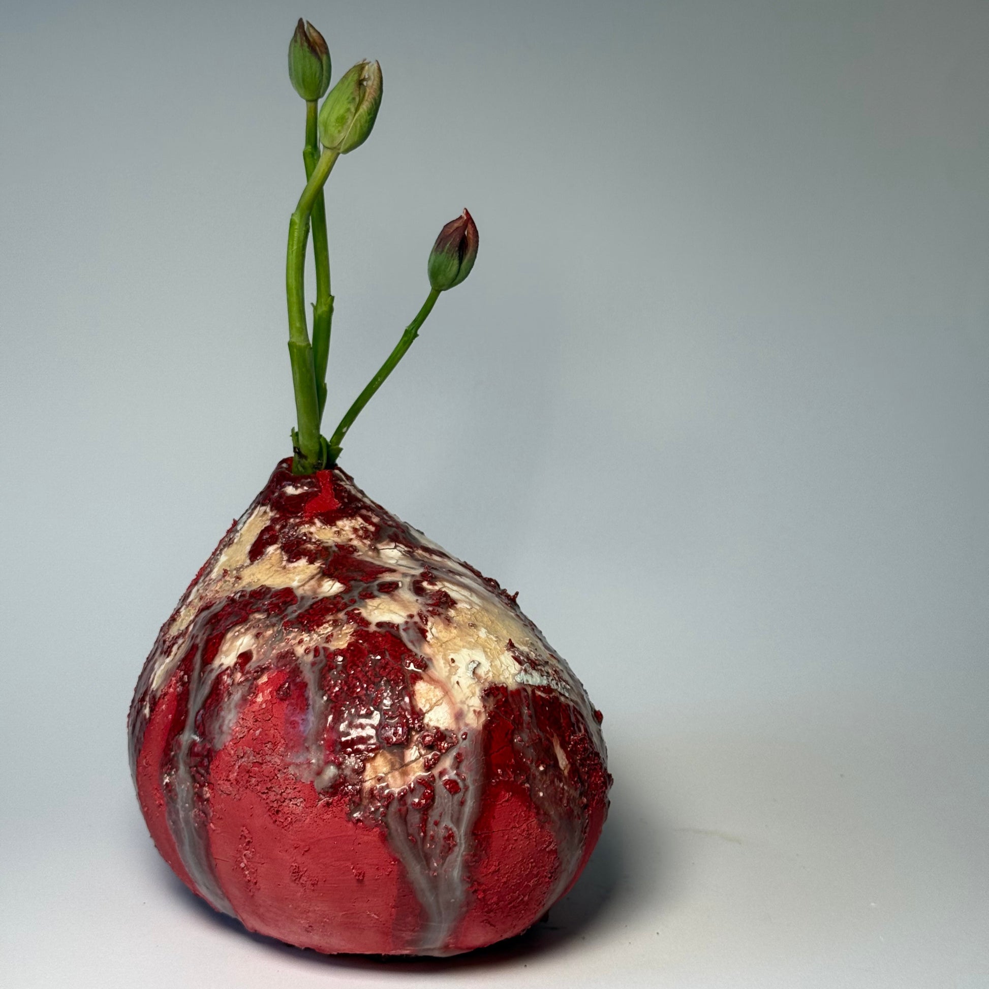 Red textured interior vase with exotic green flowers on a white background
