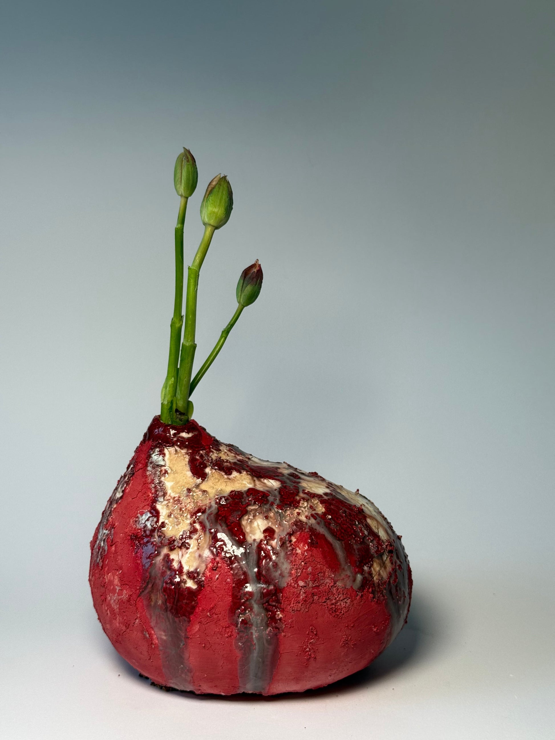 Red textured interior vase with exotic green flowers on a white background