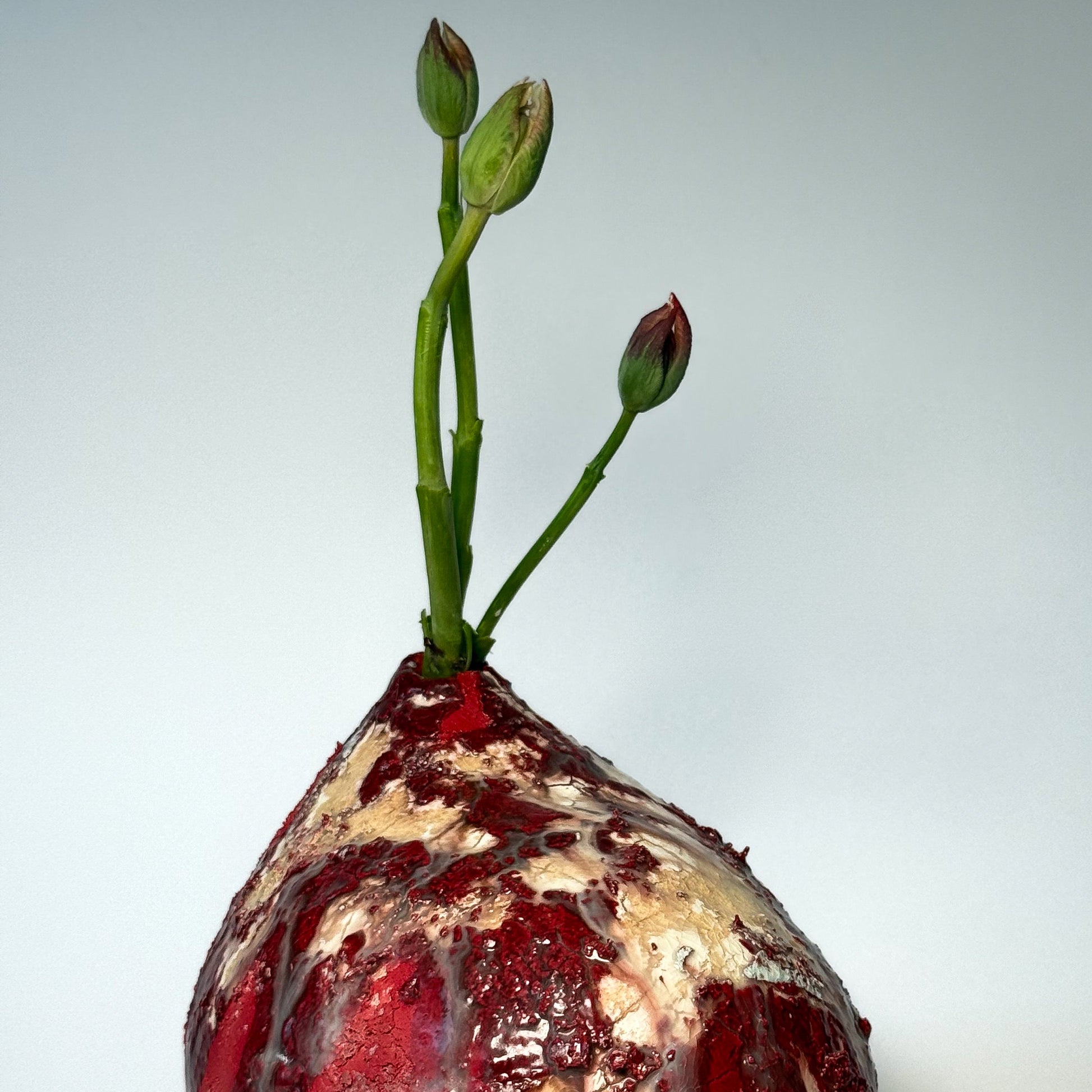 Red textured interior vase with exotic green flowers on a white background