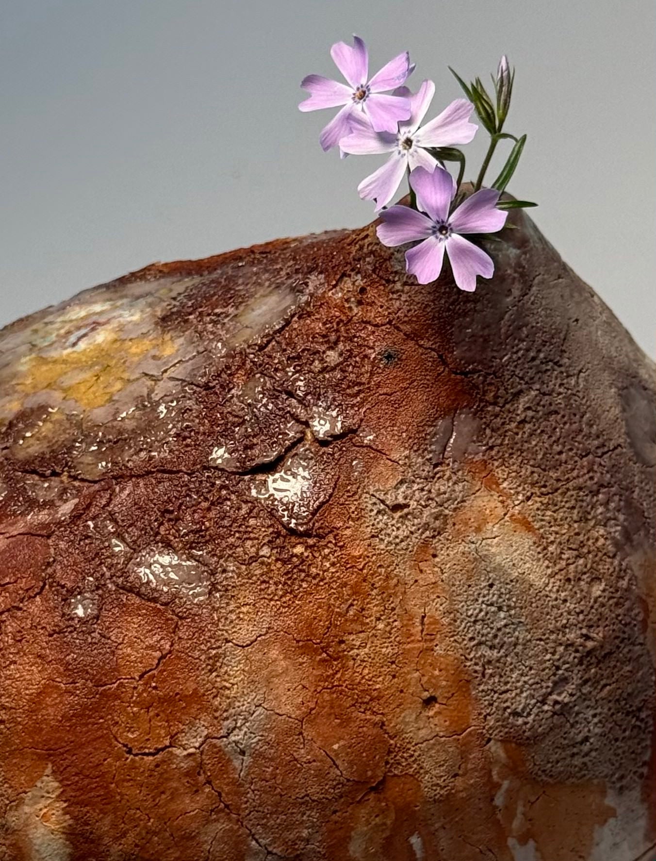 Modern, textured brown vase with a small purple flower on a light gray background, close-up