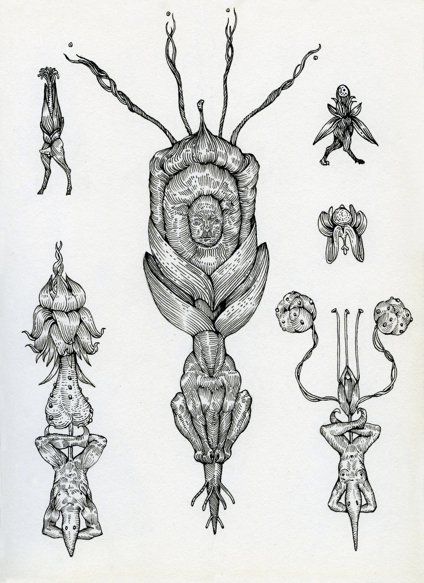 Flores III artwork by contemporary Ukrainian artist Ave Libertatemiamor