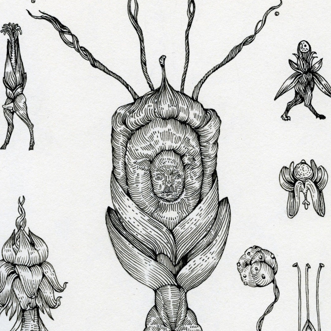 Flores III, artwork by contemporary Ukrainian artist Ave Libertatemiamor, close-up 