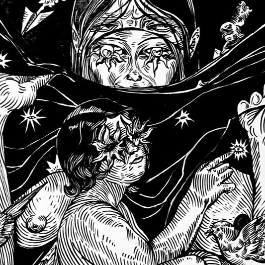 Shelter, graphics by contemporary ukrainian artist Ave Libertatemaveamor, close-up