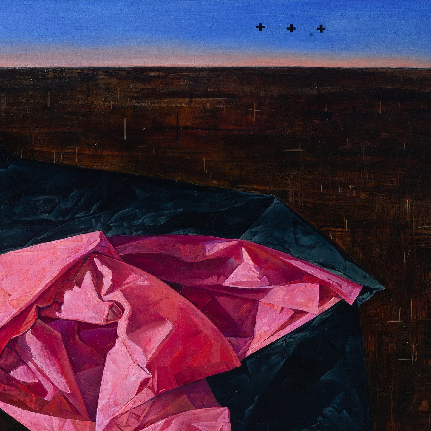 Pink and blue fabric draped over a dark field with a blue sky.