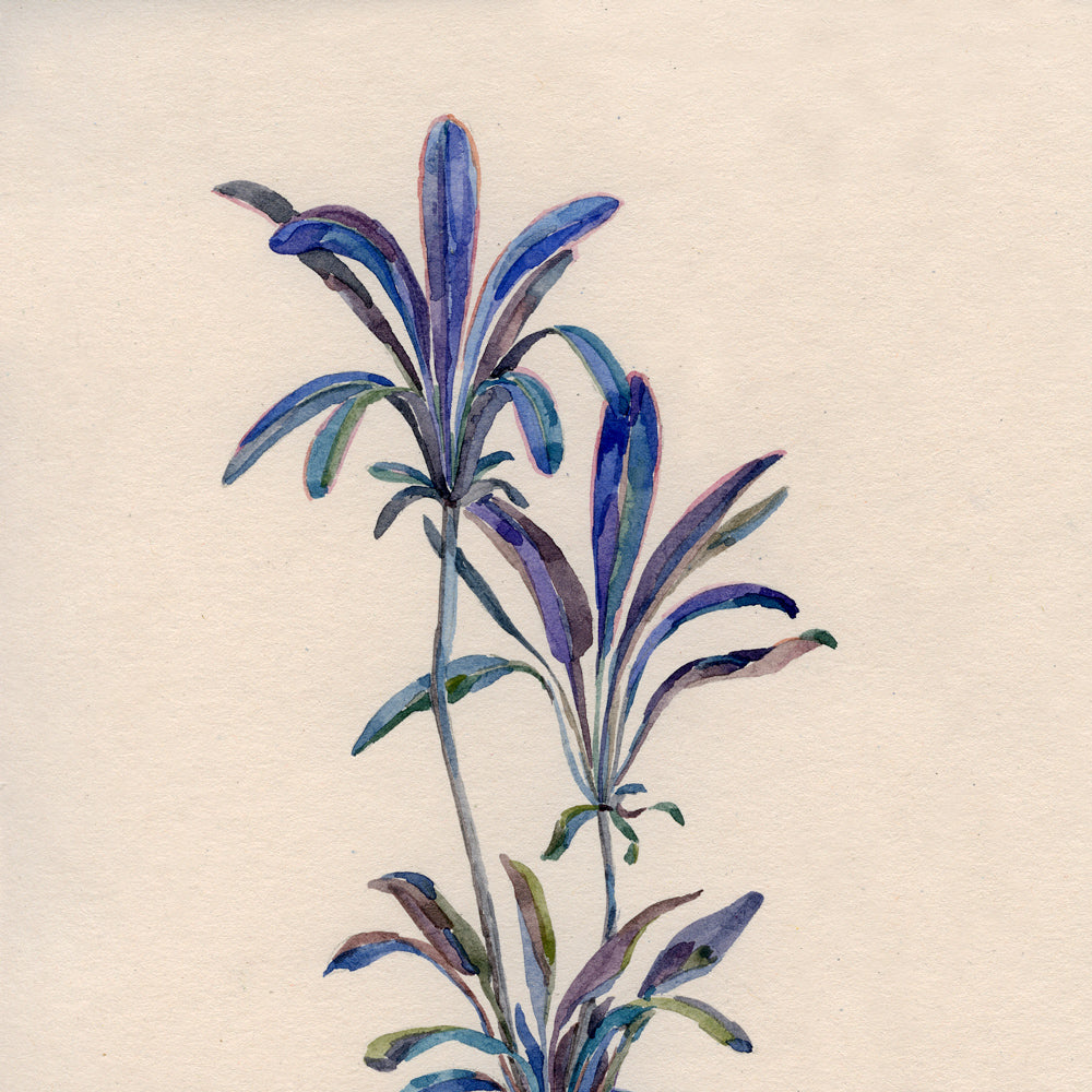  Graphics by contemporary ukrainian artist Ave Libertatemaveamor, closeup 1